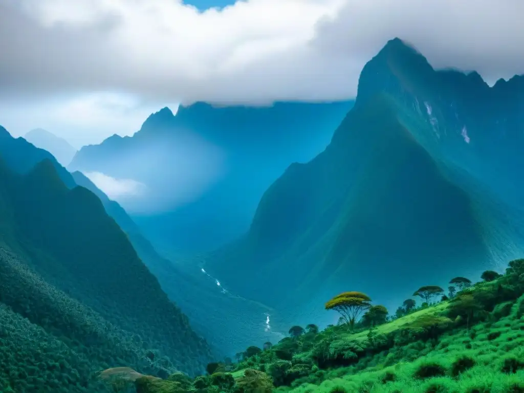 Imponente vista panorámica de las Montañas Rwenzori, con picos nevados entre nubes